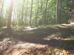 Mountain Biking (Super Slow Motion) Stock Footage