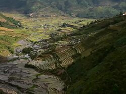 terraced rice field in Tule Village Stock Footage