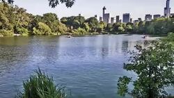 Central park lake Stock Footage
