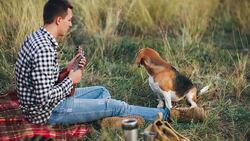 Man playing ukulele on camping to his beagle dog Stock Footage