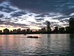 Rowing the Charles River, Boston Stock Footage