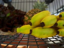 HD Shopping Cart with Healthy Food Stock Footage