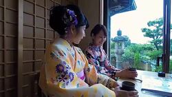 Young Japanese Women Drinking Tea While Wearing Traditional Kimonos Stock Footage