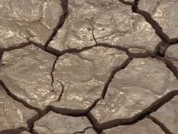  CU Wet cracks on arid desert / Mojave, California, USA Stock Footage