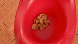 feces from the little baby Stock Footage