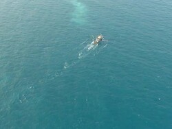 WS AERIAL View of prawn fishing boat / Darwin, Northern Territory, Australia Stock Footage