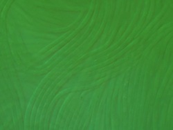 Timelapse Phormidium (1fps; differential interference contrast): Cyanobacteria forming slimy mats of tangled filaments in or around stagnant water. Stock Footage