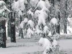 Winter #5 NTSC Stock Footage