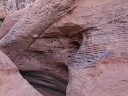 Mouse's Tank Stock Footage