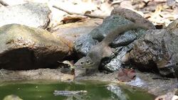 Careful Stock Footage