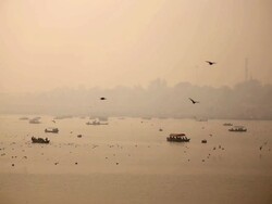 Birds waterfowl and pilgrim boats drift about misty expanse of river, oarsmen at work, trees on far bank.  Kumbh Mela, India Stock Footage