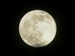 Full Moon Stock Footage