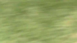 CLEAN : S. Africa police fire rubber bullets during student protests News Clip