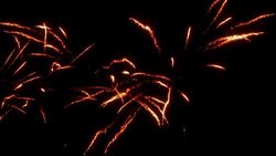 Sparkling fireworks burst in the dark sky. Stock Footage