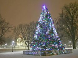 Christmas in Boston Stock Footage