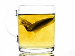 Tea bag Stock Footage