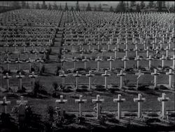 WESTERN FRONT ON ARMISTICE DAY - News Clip