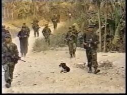 EL SALVADOR: TROOPS RETURN TO STREETS News Clip