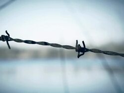 HD DOLLY: Barbed Wire Stock Footage