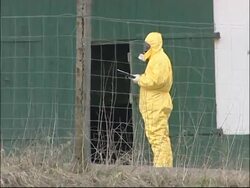 Officials cull thousands of farm birds after H5N1 outbreak News Clip