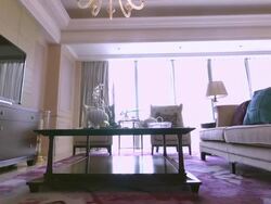 luxury sample living room interior and decorations, Real time. Stock Footage
