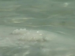 Salt - dead sea Stock Footage