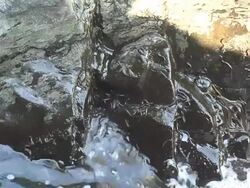 European eel elvers (Anguilla anguilla) migrating upstream, River Teifi, Wales Stock Footage