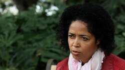 CLEAN : Conservationists warn lions could News Clip