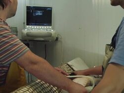 TU two men performing an ultrasound examination on a sturgeon (Acipenser naccarii, also known as Adriatic Sturgeon) to determine the amount of roe the animal carries, RED R3D 4K,4KMSTR Stock Footage