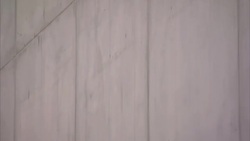 Dylann Roof has appeared for a preliminary bond hearing after being arrested for the murder of nine people at a church in Charleston News Clip