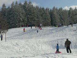 WS Shot of kids sledding on snow in winter / Erbeskopf, Hunsruck, Rhineland Palatinate, Germany Stock Footage