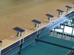 Starting blocks of an olympic swimming pool Stock Footage