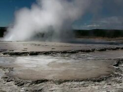 Yellowstone Geyser Stock Footage