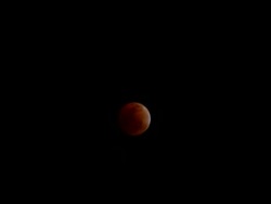 Lunar Eclipse Stock Footage