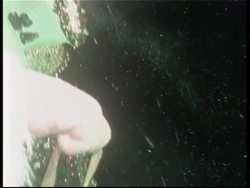 Christmas shopping spree in Brazil News Clip