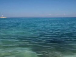 Mole in Greece. Stock Footage