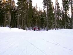 HD: Two biathlon competitors at downhill Stock Footage