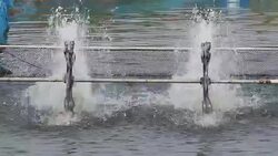 Surface aerator using to fill oxygen in the air to waste water Stock Footage