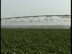 MS pan right, Mobile sprinkler system sprays water on crops Stock Footage