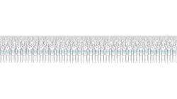 How Risky Are Vaccines? Instructional Video