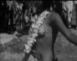 FRENCH POLYNESIAN ISLAND - BORA BORA - NO SOUND News Clip