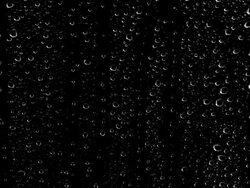 Water Drops Stock Footage