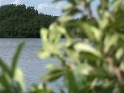 VOICED: Snake invasion in Florida News Clip