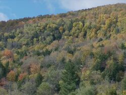 Hill In The Fall Stock Footage