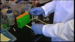 Scientist develop new water filter News Clip