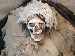 CU Shot of skull at Chauchilla cemetery / South Of Peru, Nazca, Peru Stock Footage
