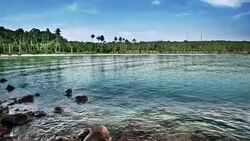 tropical dream beach Stock Footage