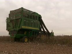 Cotton harvester,  CA cotton field  Stock Footage