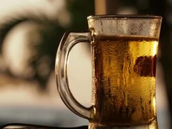 Glass of beer in front of palm tree Stock Footage