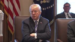 Trump Suggests Tariff Exemption for Australia News Clip